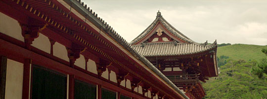 Study and work in Japan